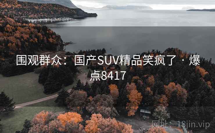 围观群众：国产SUV精品笑疯了 · 爆点8417